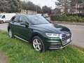 Audi Q5 Q5 50 3.0 TDI Business Sport Quattro Tiptronic Grün - thumbnail 2