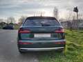 Audi Q5 Q5 50 3.0 TDI Business Sport Quattro Tiptronic Verde - thumbnail 6
