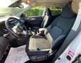 Nissan Qashqai 2ª serie 1.5 dCi 115 CV N-Connecta Blanco - thumbnail 8