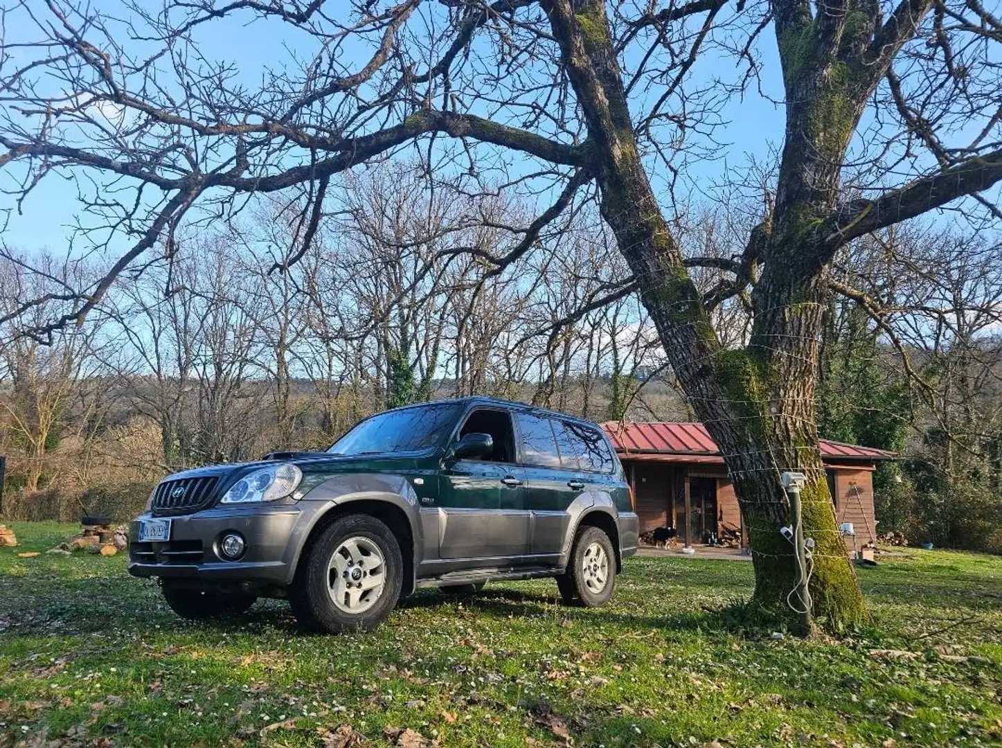 Hyundai Terracan Terracan 2.9 crdi Plus Grün - 1