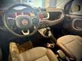 Fiat Panda 1,3 MultiJet II 95 4x4 Cross Grau - thumbnail 11