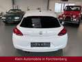 Volkswagen Scirocco 2.0 TDI Sport BiXenon Panorama SHZ PDC White - thumbnail 7