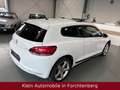 Volkswagen Scirocco 2.0 TDI Sport BiXenon Panorama SHZ PDC White - thumbnail 6