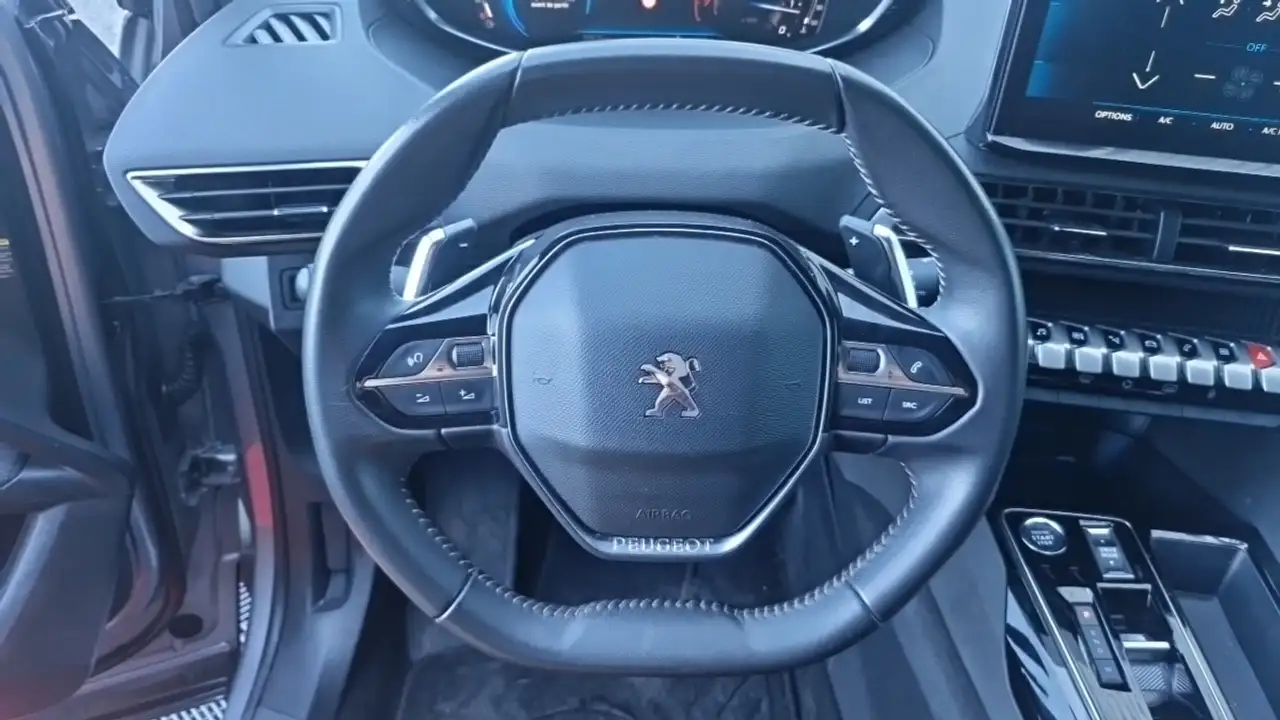 Peugeot 3008 3008 — photo 16