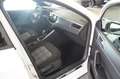 Volkswagen Polo GTI 2.0 TSI KAMERA IQ.DRIVE ACC IQ.LIGHT NAVI Weiß - thumbnail 14