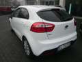 Kia Rio Rio III 2011 5p 1.2 EX Plus per Neopatentati Bianco - thumbnail 3