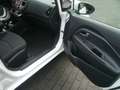 Kia Rio Rio III 2011 5p 1.2 EX Plus per Neopatentati Bianco - thumbnail 13