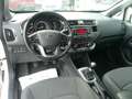 Kia Rio Rio III 2011 5p 1.2 EX Plus per Neopatentati Bianco - thumbnail 8