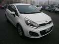 Kia Rio Rio III 2011 5p 1.2 EX Plus per Neopatentati Bianco - thumbnail 1