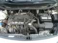 Kia Rio Rio III 2011 5p 1.2 EX Plus per Neopatentati Bianco - thumbnail 12