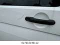 Volkswagen T6 Transporter Kasten-Kombi Kombi Weiß - thumbnail 8