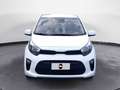 Kia Picanto 1.0 dpi Urban Weiß - thumbnail 2