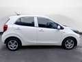 Kia Picanto 1.0 dpi Urban Weiß - thumbnail 4