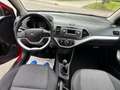 Kia Picanto 1.0 CVVT Summer Edition Rouge - thumbnail 10