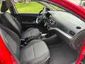 Kia Picanto 1.0 CVVT Summer Edition Rouge - thumbnail 7
