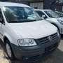 Volkswagen Caddy Life - Klima - Zahnriemen neu - Tüv 07.2027 Bianco - thumbnail 2