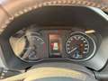 Toyota Yaris 5p 1.0 Cool Neopatentati Grigio - thumbnail 14
