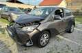 Toyota Yaris 5p 1.0 Cool Neopatentati Grigio - thumbnail 1