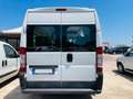 Citroen Jumper 30 2.2 HDi/130 PC-TN Atlante CON PEDANA ELETTRICA Bianco - thumbnail 11