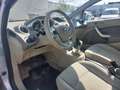 Ford Fiesta 1.25 Ghia 5 Deurs / Climate / Lm Velgen. Grigio - thumbnail 11