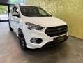Ford Kuga 4WD *ST-LINE*19-ZOLL*AHK:* Weiß - thumbnail 6