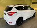 Ford Kuga 4WD *ST-LINE*19-ZOLL*AHK:* Weiß - thumbnail 17