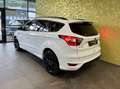 Ford Kuga 4WD *ST-LINE*19-ZOLL*AHK:* Weiß - thumbnail 11