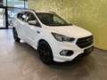 Ford Kuga 4WD *ST-LINE*19-ZOLL*AHK:* Weiß - thumbnail 3