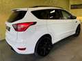 Ford Kuga 4WD *ST-LINE*19-ZOLL*AHK:* Weiß - thumbnail 18