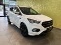 Ford Kuga 4WD *ST-LINE*19-ZOLL*AHK:* Weiß - thumbnail 4
