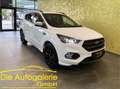 Ford Kuga 4WD *ST-LINE*19-ZOLL*AHK:* Weiß - thumbnail 1