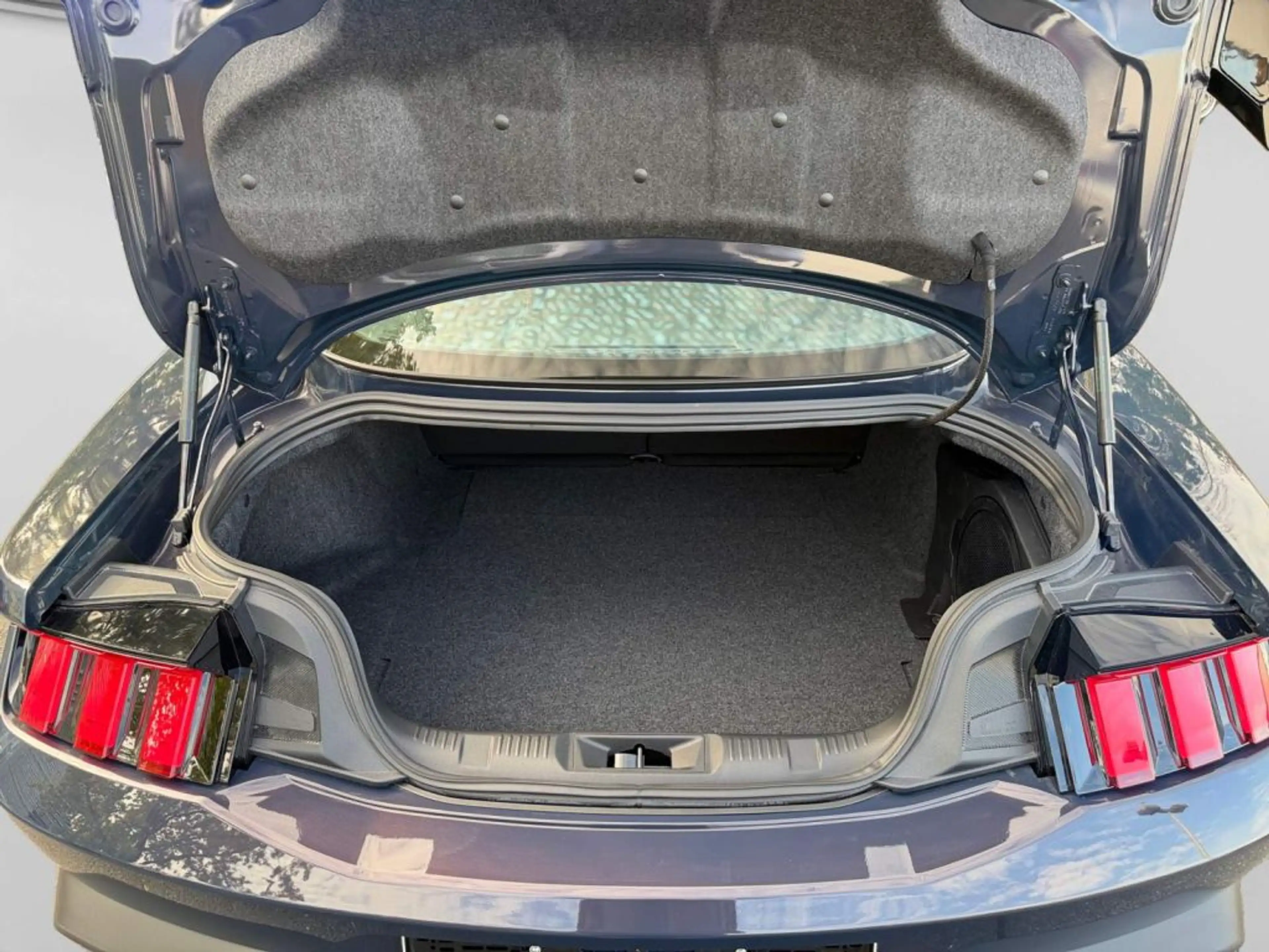 Ford Mustang Fastback Dark Horse 5.0 V8 *Recaro* — photo 7
