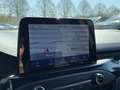 Ford Focus Focus 1.5 EcoBoost ST-Line S/S(EURO 6d-TEMP) LED Schwarz - thumbnail 18