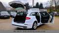 Ford Mondeo Turnier Titanium AWD ACC Panor. Standh. Weiß - thumbnail 11