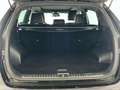 Kia Sportage Sportage 2.0 CRDI 185 CV AWD GT Line - thumbnail 15