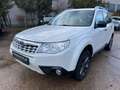 Subaru Forester Edition 4X4 *Panorama*SHZ*Automatik* Blanc - thumbnail 1