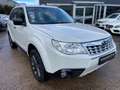 Subaru Forester Edition 4X4 *Panorama*SHZ*Automatik* Blanc - thumbnail 3