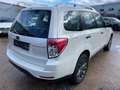 Subaru Forester Edition 4X4 *Panorama*SHZ*Automatik* Blanc - thumbnail 4
