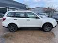 Subaru Forester Edition 4X4 *Panorama*SHZ*Automatik* Blanc - thumbnail 7