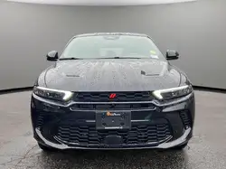 Dodge Hornet 2024