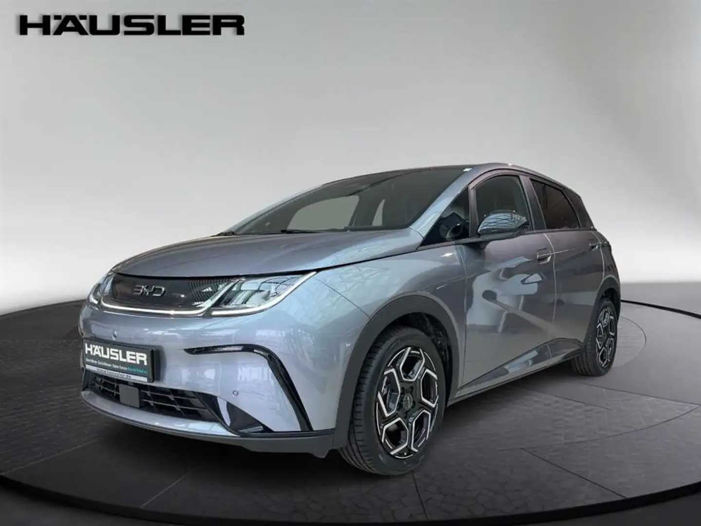 BYD Dolphin DESIGN Glasdach 360°Kamera Leder Grau - 1