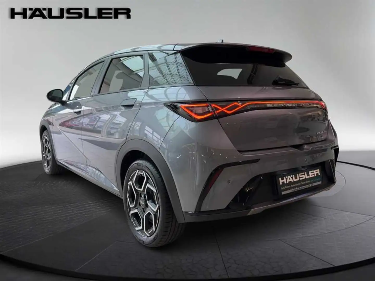 BYD Dolphin DESIGN Glasdach 360°Kamera Leder Grau - 2