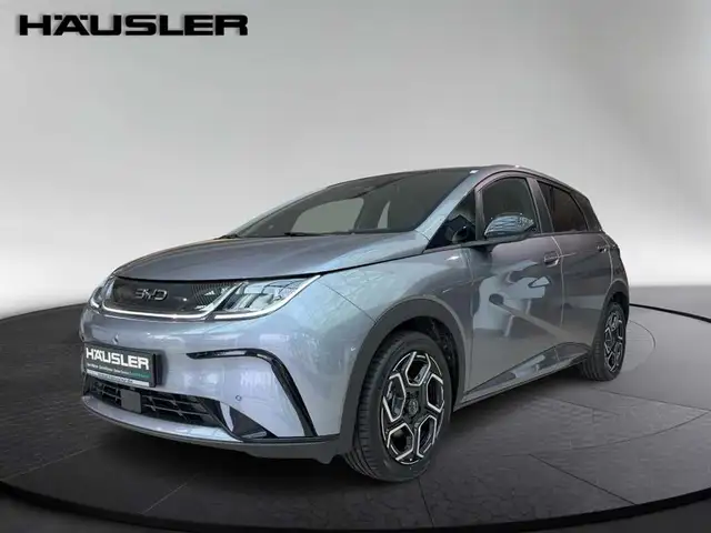 BYD Dolphin DESIGN Glasdach 360°Kamera Leder