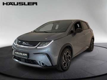 DESIGN Glasdach 360°Kamera Leder