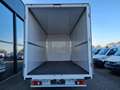 Renault Master 3.5t Möbel Koffer mit 10 Pal. Plätze TEMP Weiß - thumbnail 18