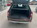Skoda Octavia Combi 2,0 TDI 4x4 Scout DSG *136.000km*EZ:02/2015* Braun - thumbnail 7