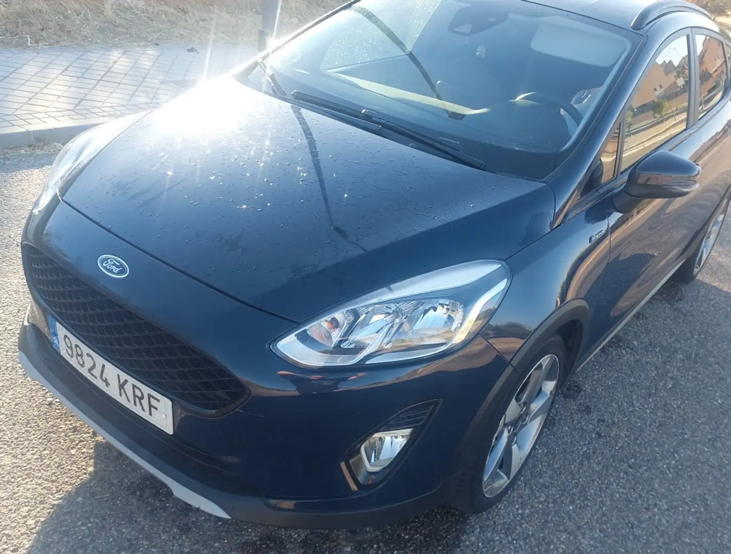 Ford Fiesta 1.0 EcoBoost S/S Active Lux Edition 100 Azul - 2
