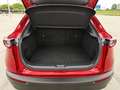 Mazda CX-30 2.0 Skyactiv-X Evolution 2WD 137kW Rojo - thumbnail 36