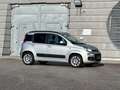 Fiat Panda Lounge / Klima / Benzin / 86.000km Grau - thumbnail 2