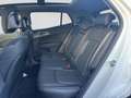 Kia Sportage SPORTAGE 1.6T 48V 2WD DCT SPI LED GD DRI Weiß - thumbnail 17
